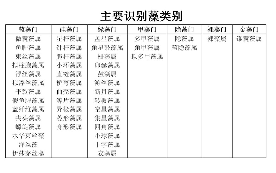 主要识别藻类别8.jpg